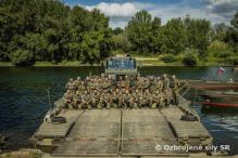 Vcvik 1. pontnovej roty a Nrodnch obrannch sl